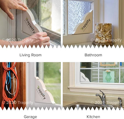Trappify Fly Trap Indoor: Window Fly Traps for Home | Fruit Fly Traps for Indoors, Gnat Traps for House Indoor | Disposable Fly Trap with Sticky Adhesive Strips | Inside Bug Catchers (24 Pack)