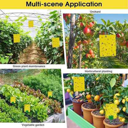 Dwcom 60 Pack Yellow Sticky Traps for Gnats Fruit Fly Traps for Indoors, Fungus Gnat Traps for House Indoor Fly Paper Indoor for Gnats Killer Indoor Trap