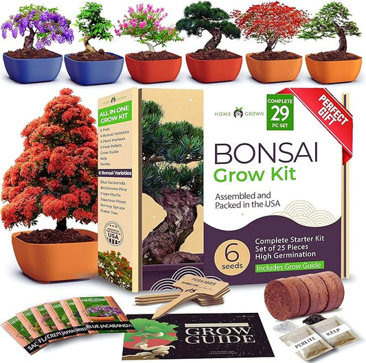 HOME GROWN 𝗨𝗦𝗔 Bonsai Tree Kit – 6 Heirloom Varieties with Unique Pots – DIY Bonsai Starter Kit for Adults & Beginners – Christmas Gift for Men Women Gardeners Plant Lovers – Indoor Growing Kit