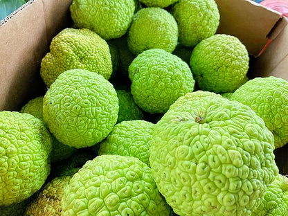 Hedgeballs, Osage Oranges - Naturally Remove Bugs and Spiders - All Natural, Grown in Iowa (4 Hedgeballs)