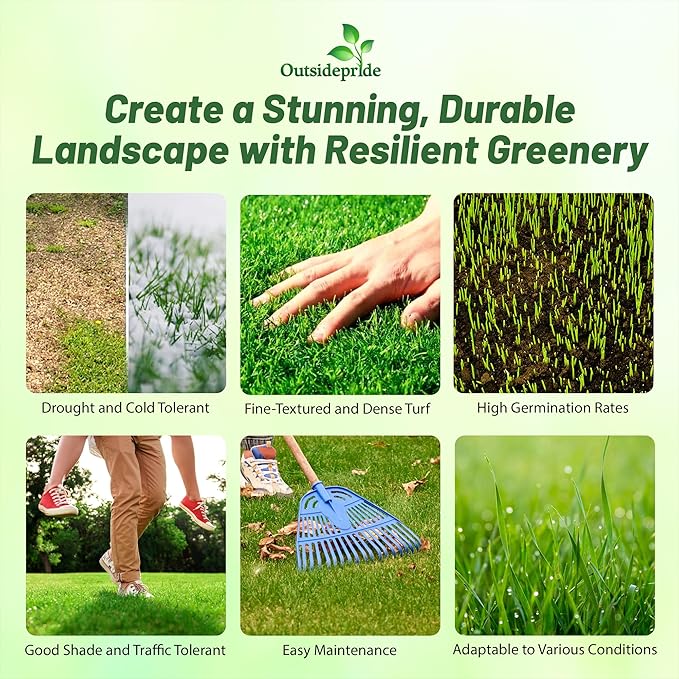 Outsidepride Maya (Blackjack II) Bermuda Grass Seed - 5 lbs Warm Season, Drought Tolerant, Fast Growing, Fine-Textured Bermuda Grass Seeds for Lawn, Parks, Golf Courses & Sports Fields