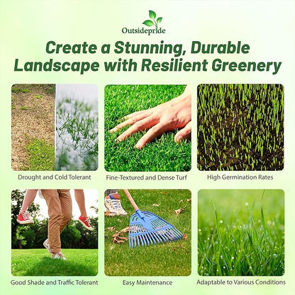 Outsidepride Maya (Blackjack II) Bermuda Grass Seed - 5 lbs Warm Season, Drought Tolerant, Fast Growing, Fine-Textured Bermuda Grass Seeds for Lawn, Parks, Golf Courses & Sports Fields