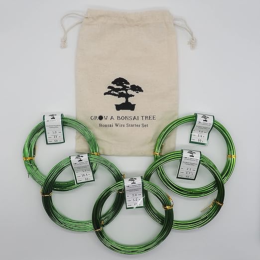 Aluminum Floral/Plant/Bonsai Tree Wire 5-Size Starter Set with Canvas Bag - 1.0mm, 1.5mm, 2.0mm, 2.5mm, 3.0mm (147 feet Total) - Choose Your Color (5 Sizes, Green)