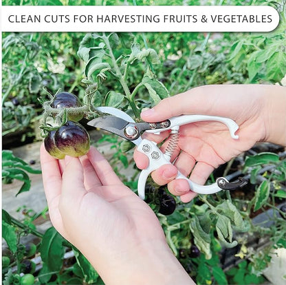 Bypass Pruning Shears Hand Pruner Garden Trimming Scissors Plant Trimmers Herb Snips Flower Clippers Ergonomic Handle Modern Garden Tools