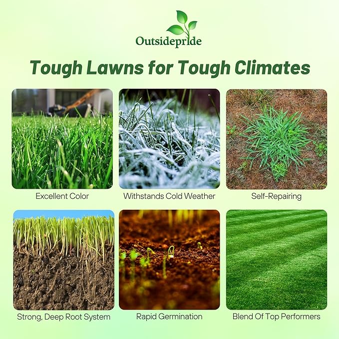 Outsidepride Combat Extreme Northern Zone - 10 Lbs Cold-Hardy, Drought-Resistant Turf Type Tall Fescue & Kentucky Bluegrass Lawn Grass Seed Blend, OptiGrowth Coated for Better Establishment