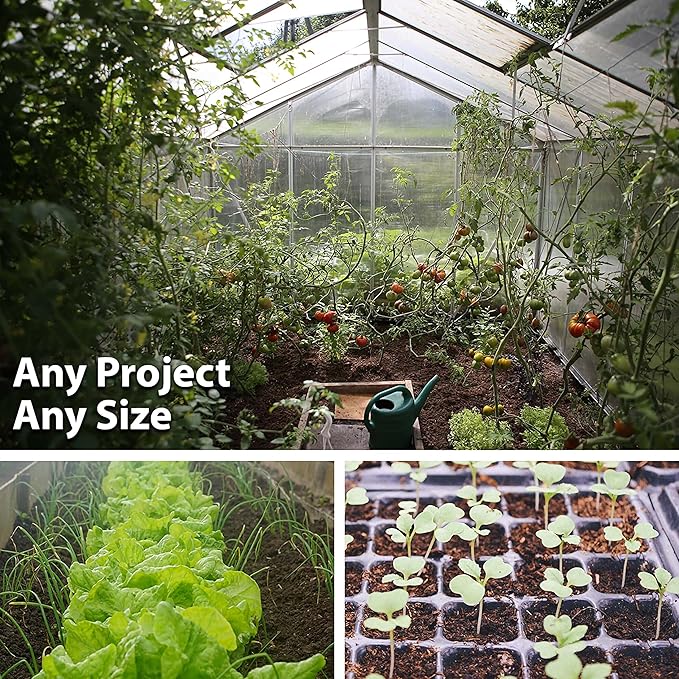Cucamelon Seeds - 1 g Packet ~30 Seeds - Heirloom, Non-GMO Gardening - AKA: Mexican Sour Gherkin, Sandia De Raton