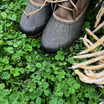 Micro Clover Seed for Lawn - 25 Lb Bulk - ~10 Million Microclover Seeds for Planting - Drought-Tolerant Mini Grass Alternative by Mountain Valley Seed Company
