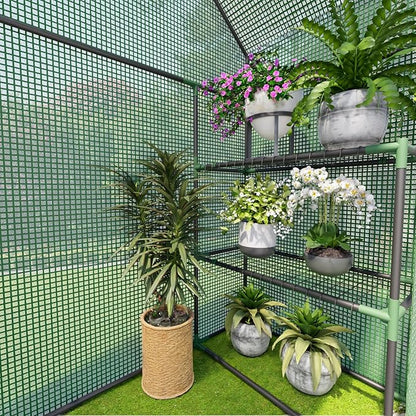 Greenhouse for Outdoors, Small Greenhouse, Walk-in Greenhouses with 3 Tiers 4 Shelves, PE Cover, Heavy Duty Plant Greenhouses for Garden and Backyard