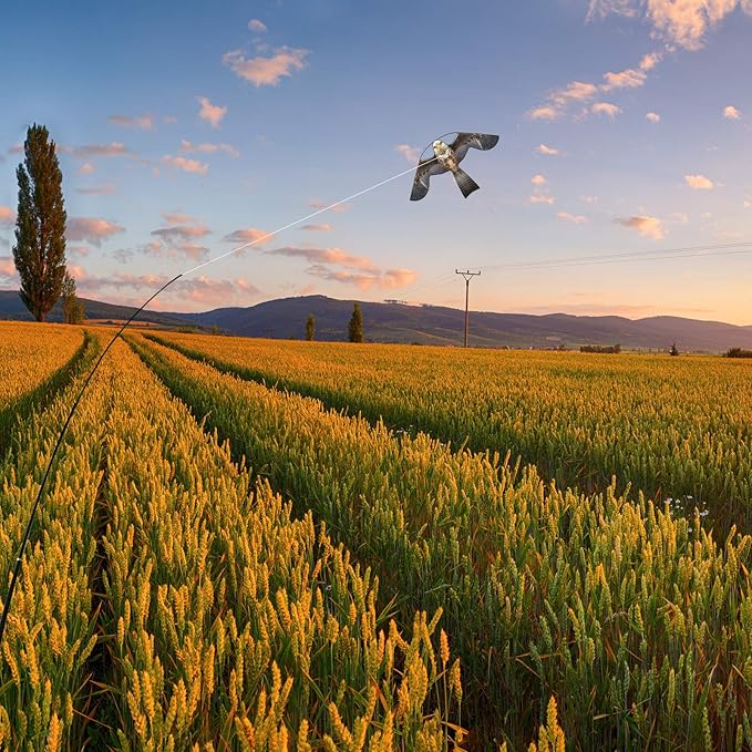 eyijklzo Bird Scarer Flying Kite Crops Farm Flying Bird Hawk Flying Kite