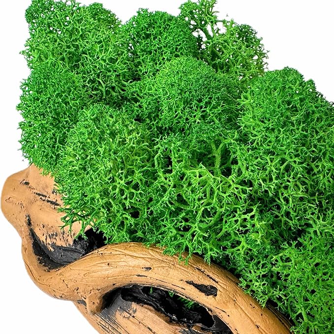 Moss Centerpiece 6in, Handmade Artificial Bonsai with Real Moss, No Maintenance