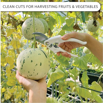 Bypass Pruning Shears Heavy Duty Hand Pruner Garden Trimming Scissors Plant Clippers Tree Trimmers Branch Cutters Modern Garden Tools