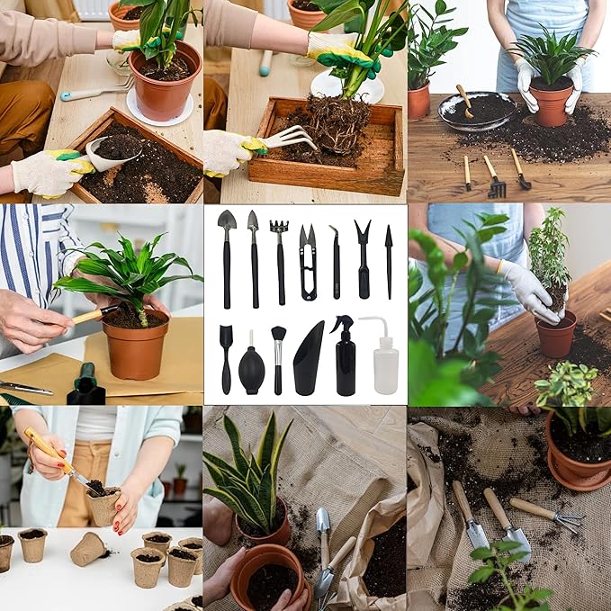 13Pcs Succulent Tools Set Mini Garden Tool Kit Transplanting Tools for Succulent Care Miniature Gardening Plant Watering Houseplant
