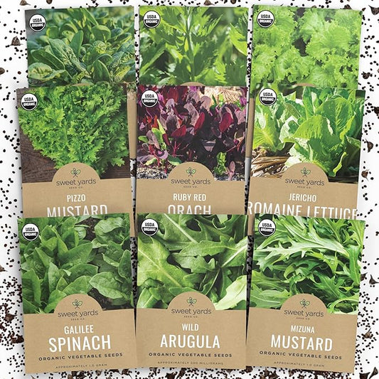 Organic Heat Tolerant Lettuce Seeds Variety Pack - 9 Individual Packs - 2025 Season - Galilee Spinach, Wild Arugula, Romaine Lettuce & More! for Indoor & Outdoor Planting (Non-GMO, Certified Organic)
