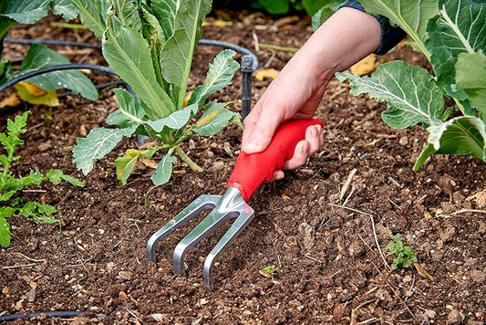 Corona CT 3030I Comfort Cultivator
