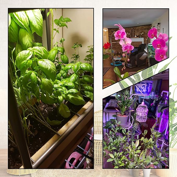 E12 Candelabra Small Base Grow Light Bulbs for Indoor Plants Full Spectrum 9W Grow Lamp 100W Replace with Blue Red 5000K LEDs for Seeds and Greens,Laboratory,Greenhouse,Garden,DIY Horticulture, 3 Pack