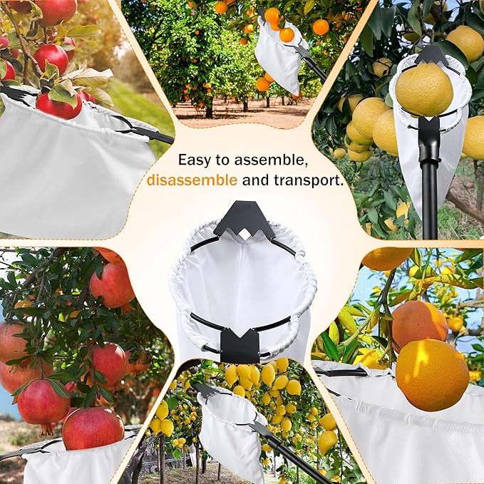Fruit Picker with Basket 26-167" Adjustable Long Handle Large Elastic Bag Fruit Picking Tools with Serrated Blades Equipment Tree Picker for Apples Mango Pear Orange Avocados