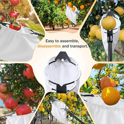 Fruit Picker with Basket 26-167" Adjustable Long Handle Large Elastic Bag Fruit Picking Tools with Serrated Blades Equipment Tree Picker for Apples Mango Pear Orange Avocados