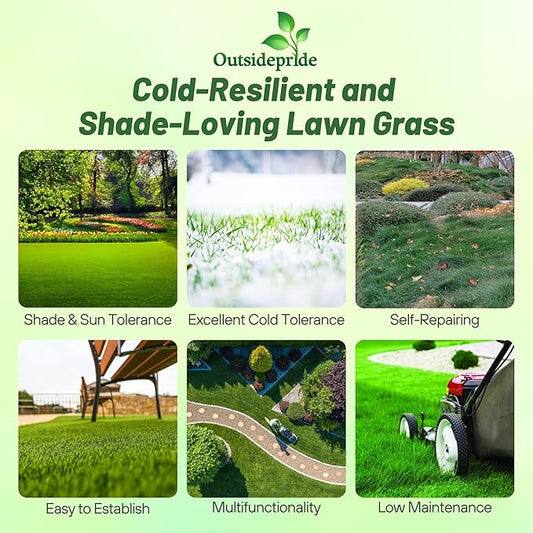 Outsidepride Creeping Red Fescue Grass Seed - 50 Lbs. Cool Season, Soft Textured, Self-Repairing Fine Fescue Grass Seeds for Lawn w/OptiGrowth Coating, Ideal for Dryland Cover Crop & Landscaping