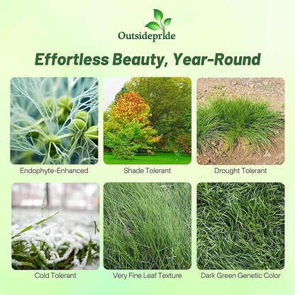 Outsidepride Hard Fine Fescue Grass Seed - 50 lbs. Low-Growing, Drought & Shade-Tolerant, OptiGrowth Coated Seed for Lawn & Turf, Ideal for Low-Maintenance, Dense, & Resilient Green Ground Cover