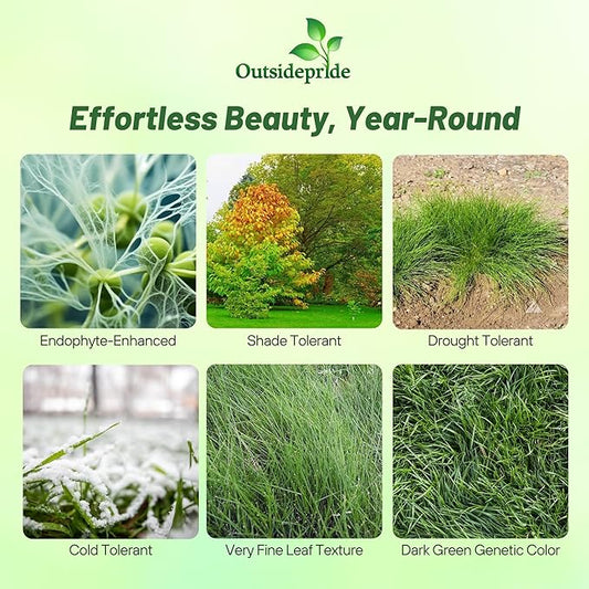 Outsidepride Hard Fine Fescue Grass Seed - 50 lbs. Low-Growing, Drought & Shade-Tolerant, OptiGrowth Coated Seed for Lawn & Turf, Ideal for Low-Maintenance, Dense, & Resilient Green Ground Cover