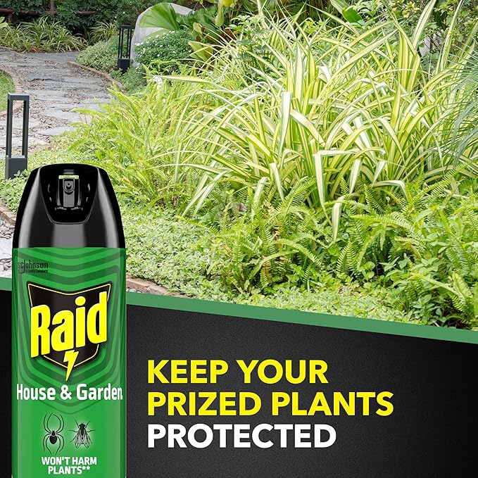 Raid House and Garden Insect Killer, Kills Ants, Roaches, Spiders and Flies on Contact, 11oz