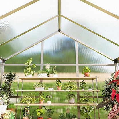8x10 FT Greenhouse for Outdoors, Polycarbonate Flower Greenhouse with Roof Vent, Push-Pull Lockable Door, Aluminum Walk-in Greenhouses for Outside Garden Backyard, Patio, Lawn, Silver