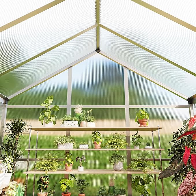 6x10 FT Greenhouse for Outdoors, Polycarbonate Flower Greenhouse with Roof Vent, Push-Pull Lockable Door, Aluminum Walk-in Greenhouses for Outside Garden Backyard, Patio, Lawn, Silver