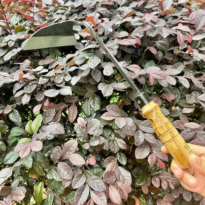 12 Inch Japanese Gardening Hand Weeding Sickle, Weeding Hoe with Long Wooden Handle