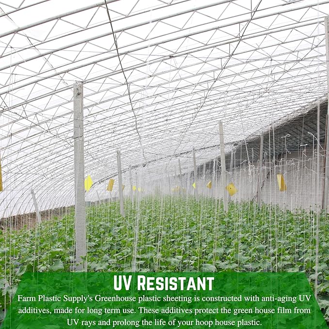 Farm Plastic Supply - String Reinforced 4 Year UV Resistant 10 mil Clear Greenhouse Plastic Sheeting - 4 Year UV Resistant Polyethylene Greenhouse Film, Hoop House Green House Cover (6' x 50')