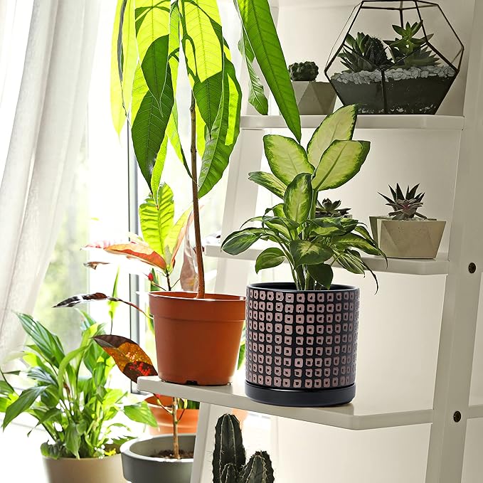 D'vine Dev Set of 2 Ceramic Planter Pots with Drainage Hole and Saucer, 6 Inch Plant Pots for Plants Indoor Houseplants, Black, 99-Z-A-2-Y