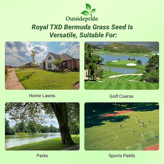 Outsidepride Royal TXD Bermuda Grass Seed Blend - 25 lbs. Warm Season, Fast Growing Turf Grass Seeds: Heat & Drought Tolerant, Ideal for Home Lawns & Sports Fields, Dense & Lush Green Coverage