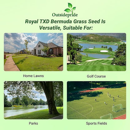 Outsidepride Royal TXD Bermuda Grass Seed Blend - 5 lbs. Warm Season, Fast Growing Turf Grass Seeds: Heat & Drought Tolerant, Ideal for Home Lawns & Sports Fields, Dense & Lush Green Coverage