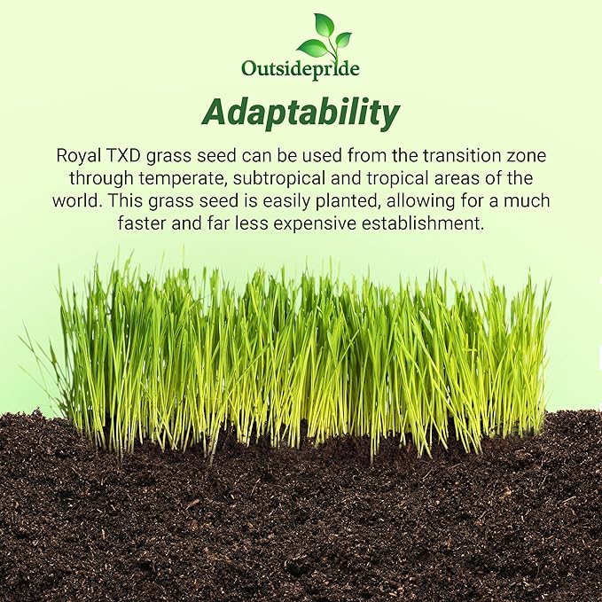Outsidepride Royal TXD Bermuda Grass Seed Blend - 2 lbs. Warm Season, Fast Growing Turf Grass Seeds: Heat & Drought Tolerant, Ideal for Home Lawns & Sports Fields, Dense & Lush Green Coverage