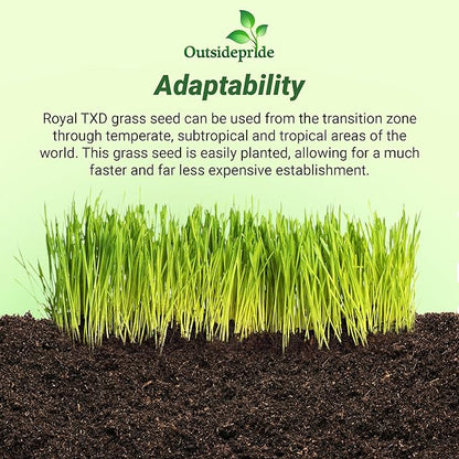 Outsidepride Royal TXD Bermuda Grass Seed Blend - 1 lb. Warm Season, Fast Growing Turf Grass Seeds: Heat & Drought Tolerant, Ideal for Home Lawns & Sports Fields, Dense & Lush Green Coverage