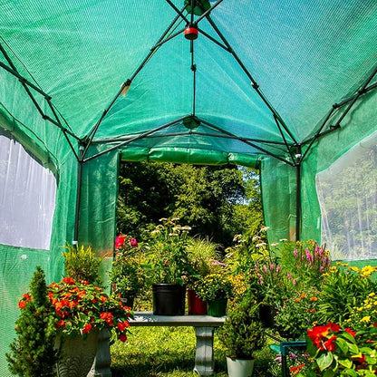 EAGLE PEAK Instant Pop-up Greenhouse, Indoor Outdoor Plant Gardening Green House, Roll-Up Zipper Doors and Side Windows, Walk in 8x6 ft, PE Cover, Green/Clear