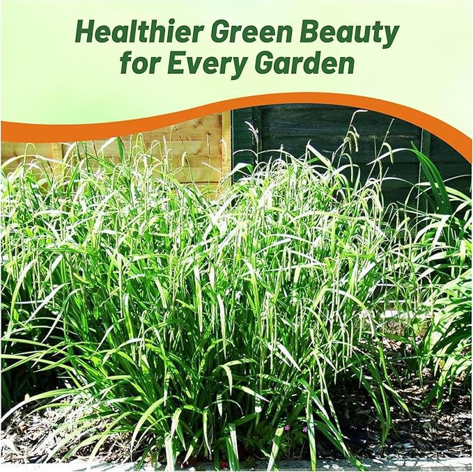 Outsidepride Carex Fresh Look Ornamental Grass Seed – 100 Pcs. Perennial, Low-Maintenance, Drought-Tolerant Grass Seeds with Low Growing Foliage for Borders, Ground Covers, & Outdoor Living Spaces
