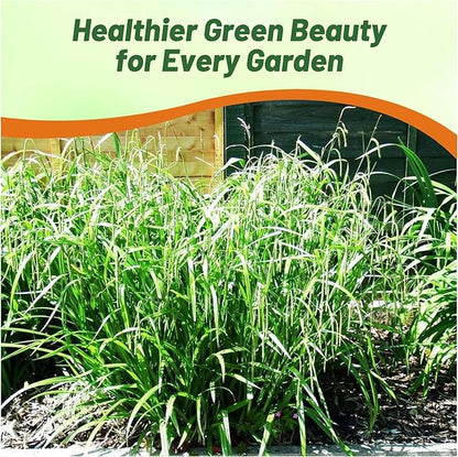 Outsidepride Carex Fresh Look Ornamental Grass Seed – 100 Pcs. Perennial, Low-Maintenance, Drought-Tolerant Grass Seeds with Low Growing Foliage for Borders, Ground Covers, & Outdoor Living Spaces