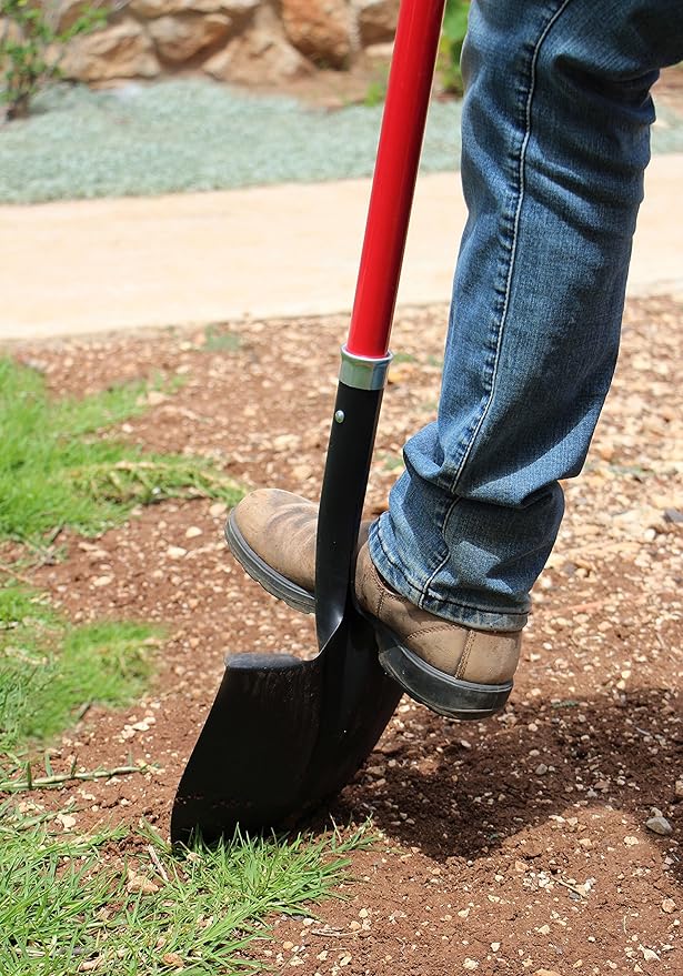 TABOR TOOLS Shovel with Rounded Blade and Comfortable D Grip 31 Inch Fiberglass Handle, Digging Spade. J201A. (D Handle, Round Blade)