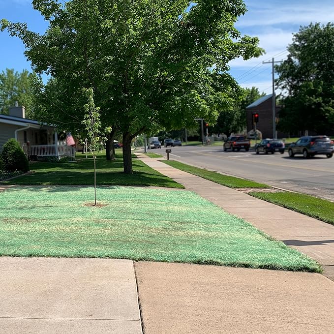 American Excelsior QuickGrass Pro - 4'x50' - Green Erosion Control Blanket Landscape Roll