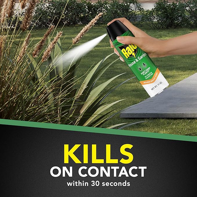 Raid House & Garden Insect Killer Spray, Orange Scent 11 Ounce (Pack of 1)