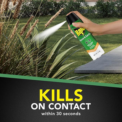 Raid House & Garden Insect Killer Spray, Orange Scent 11 Ounce (Pack of 1)