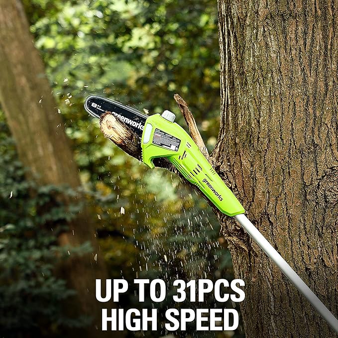 Greenworks 24V 8" Cordless Polesaw (Great For Pruning and Trimming Branches / 125+ Compatible Tools), Tool Only