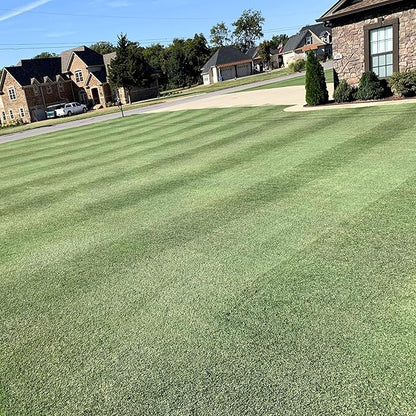 Outsidepride Yukon Bermuda Grass Seed - 5 lbs Cold & High Traffic Tolerant, Premium Hybrid Bermuda Turf Grass Seeds for Lawn, Ideal Low Maintenance Seed Grass for Colder & Challenging Area