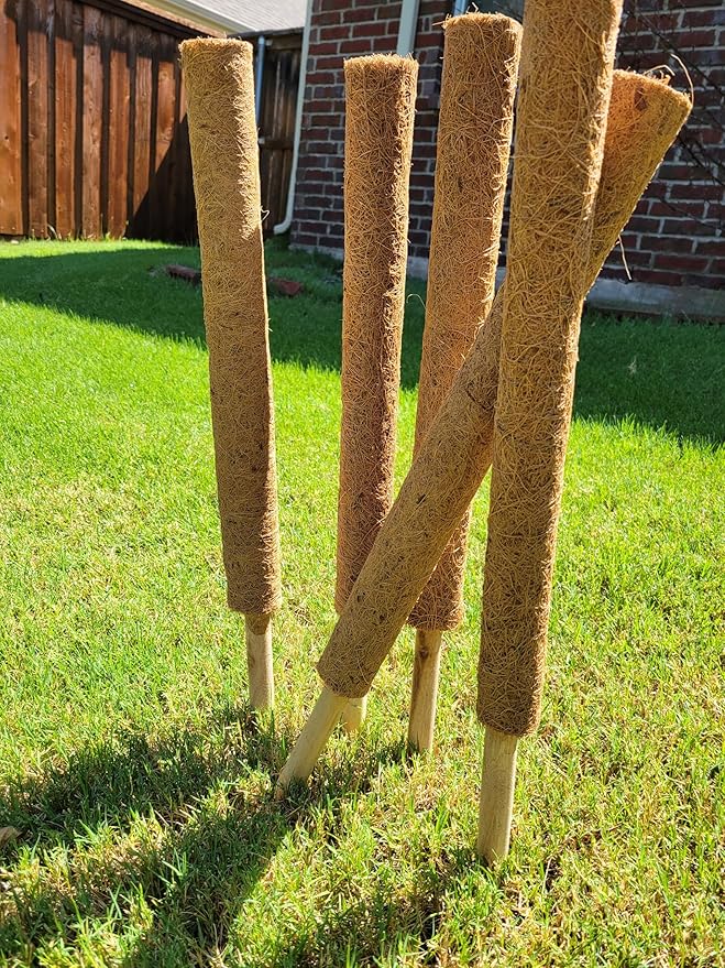 Pack of 6 Coco Coir Pole- Plants Monstera 24" Sized Poles for Climbing Plants, Plant Support Stakes for Indoor/Outdoor Potted Plants