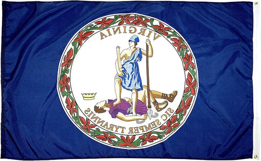FlagSource Virginia Nylon State Flag, Made in USA, 4x6'