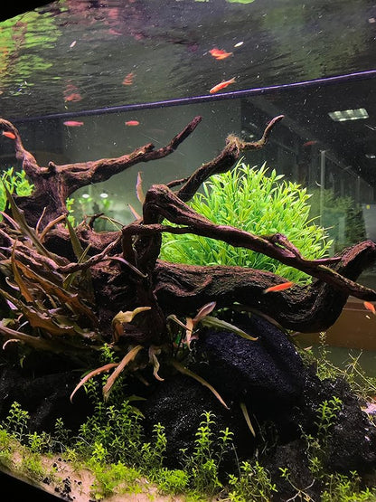 BEGONDIS Aquarium Decorations Fish Tank Artificial Green Water Plants Made of Soft Plastic