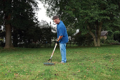 CRAFTSMAN 2-Piece Raking Set with Lawn & Thatching Rakes, Wood Handles with Cushion Grips, for Leaves, Dethatching, Dead Grass, Cultivating