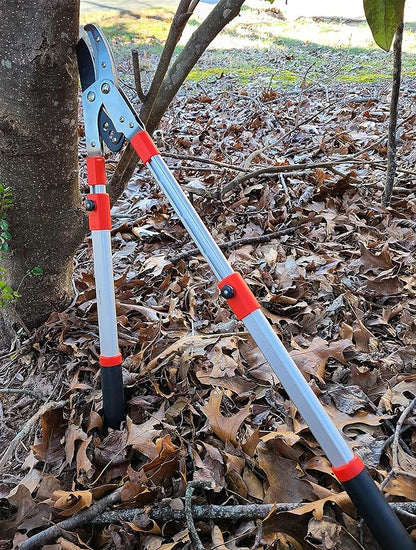 Anvil Lopper with Compound Action, Chops Thick Branches with Ease, 40 Inch Tree Trimmer, Branch Cutter with 2 Inch Clean Cut Capacity