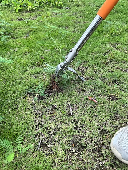 YYMIYU 52" Stand Up Weed Puller Tool – 4-Claw Stainless Steel Weeder with Grass-Pushing & Weed-Ejection Design – Heavy-Duty 0.8mm Steel Handle for Effortless Root Removal