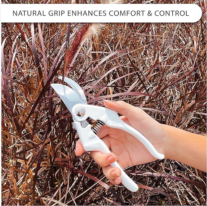 Bypass Pruning Shears Heavy Duty Hand Pruner Garden Trimming Scissors Plant Clippers Tree Trimmers Branch Cutters Modern Garden Tools